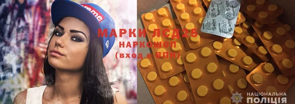гидра Абаза