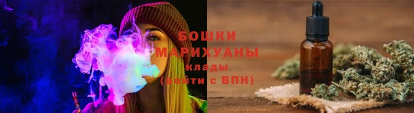 прущие грибы Абдулино