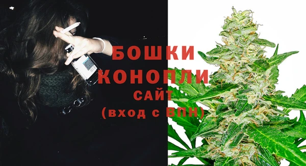 прущие грибы Абдулино
