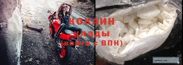прущие грибы Абдулино